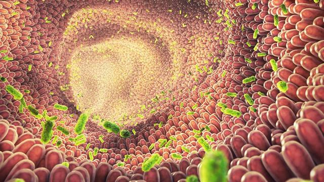 Ο μικροβιακός μας κόσμος είναι εχθρός ή σύμμαχος στη μάχη κατά του καρκίνου;