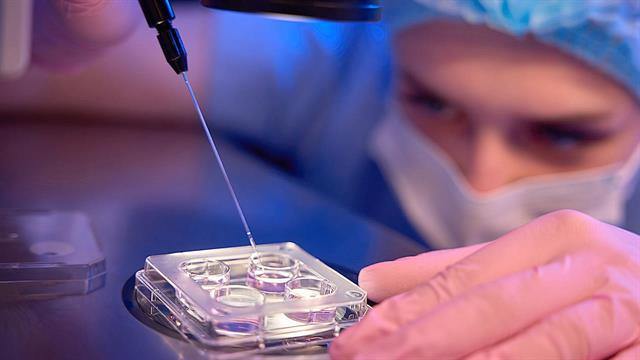 Αυξάνονται οι δότες βλαστοκυττάρων στην Αυστρία