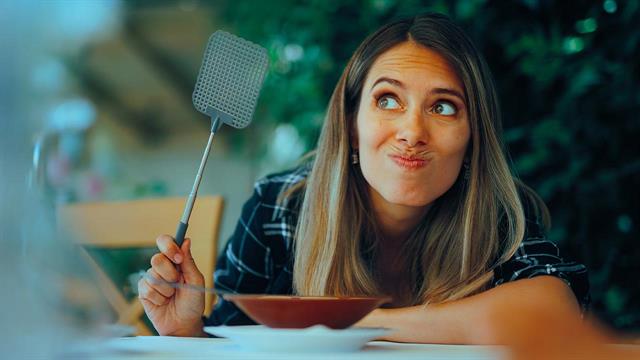 Kουνούπια στην Ελλάδα: Μόνο ενόχληση ή σοβαρός κίνδυνος για την υγεία;