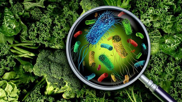 Λιστέρια:  Λιγότερη από τα αλλαντικά στο έντερο, περισσότερη από τυρί και ψάρι