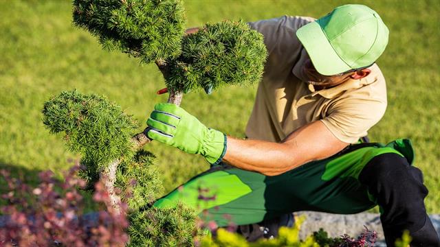 Πόνος στη μέση μετά την κηπουρική: Τι να κάνω