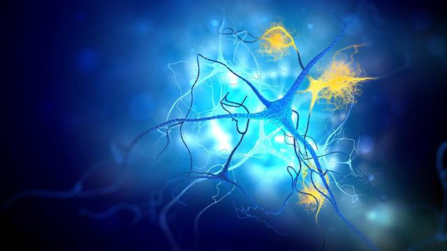 Ποια πρωτείνη είναι σημαντική για τις λειτουργίες του εγκεφάλου