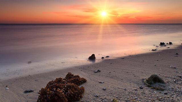 Vibrio: Σε ποιες θάλασσες εμφανίζεται το επικίνδυνο βακτήριο - Συμπτώματα και προστασία