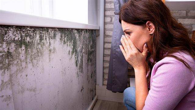 Μούχλα: Με ποια πνευμονική νόσο συνδέεται