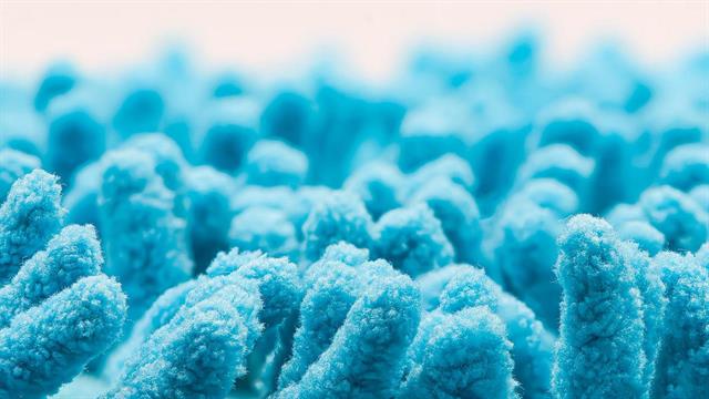 Η σημασία του μικροβιώματος για τη λειτουργία των νεφρών