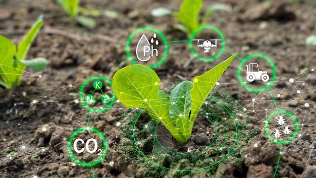 Ερευνητές: Η απορρόφηση αζώτου από τα φυσικά τοπία είναι πολύ χαμηλή [Μελέτη]