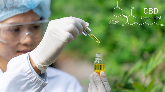 H κανναβιδιόλη ενδέχεται να βλάπτει το ήπαρ [Μελέτη]