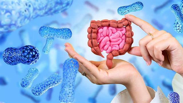 Πώς συνδέεται το μυκοβίωμα με την πολλαπλή σκλήρυνση