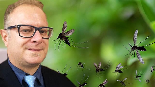 Ιός Δυτικού Νείλου και εξωτικές ασθένειες από κουνούπια - Οι κίνδυνοι για την Ελλάδα