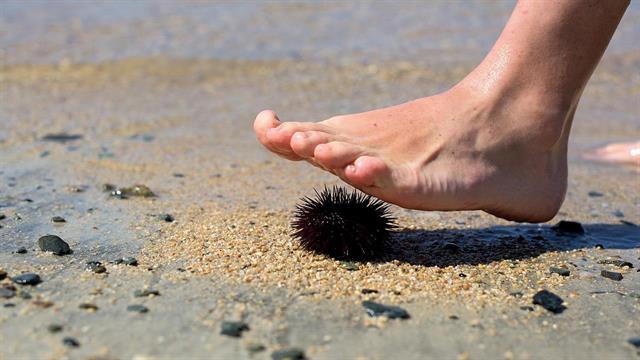 Το φαρμακείο της βαλίτσας του ταξιδιώτη