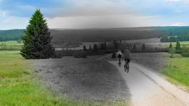 Ηλικιακή εκφύλιση της ωχράς κηλίδας: Τι πρέπει να προσέχετε