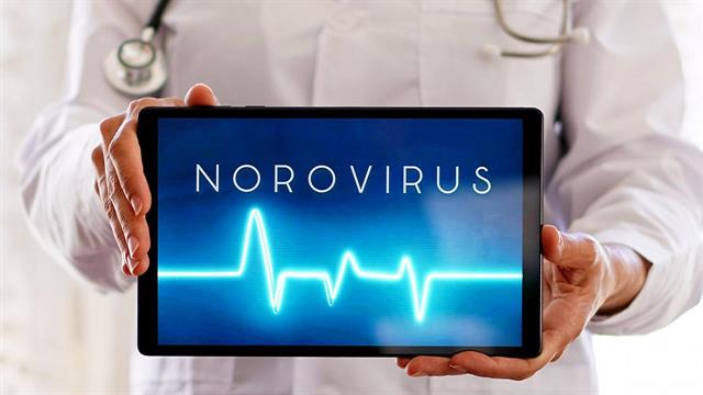 Οι επιστήμονες στο δρόμο για την παρασκευή εμβολίων κατά του νοροϊού