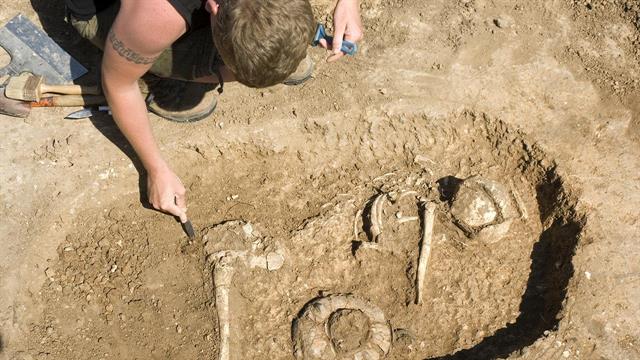 Παθογόνο της πανώλης ανακαλύφθηκε σε δόντι προβάτου 4.000 ετών