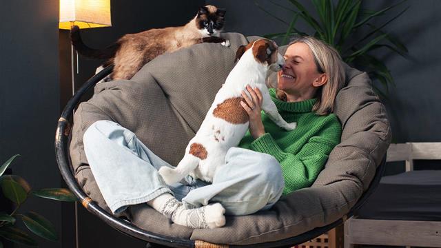 Ανθεκτικά μικρόβια σε κατοικίδια, ακόμη και χωρίς στενή επαφή με ανθρώπους