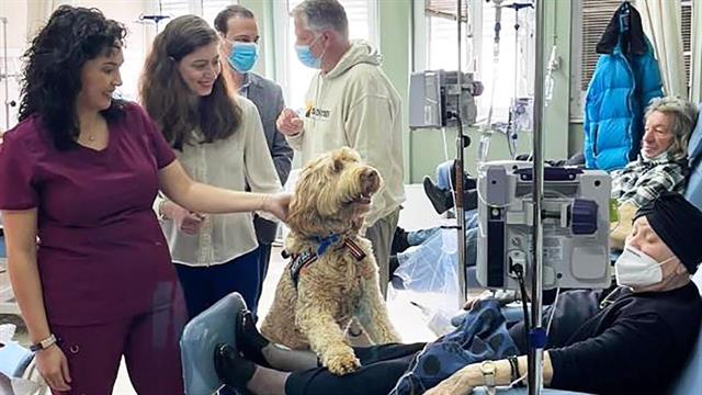 Γεωργιάδης: Εξετάζουμε οι ογκολογικοί ασθενείς να φέρνουν τα δικά τους σκυλιά στο Μεταξά