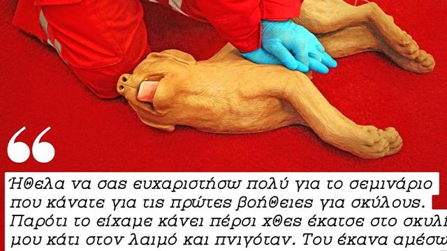 ΕΕΣ: Κοπέλα έσωσε το κατοικίδιό της ακολουθώντας τις οδηγίες που είχε διδαχθεί στο πρόγραμμα Πρώτες Βοήθειες για σκύλους