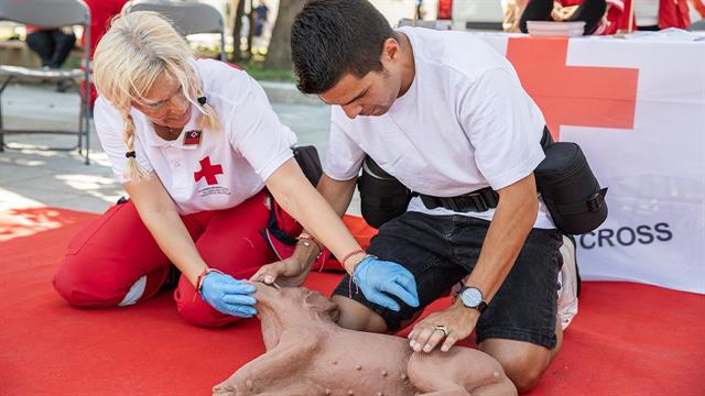 ΕΕΣ: Τίμησε την Παγκόσμια Ημέρα Σκύλου με μεγάλη δράση στην Πλατεία Συντάγματος