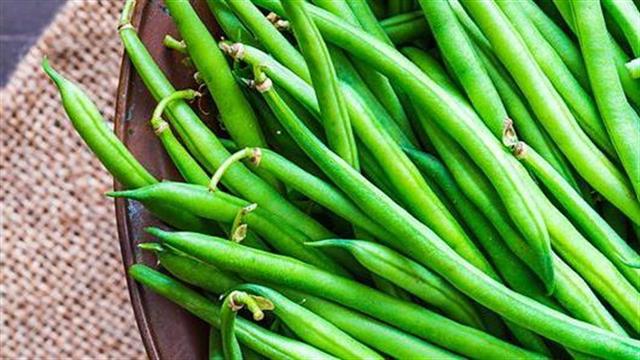 Φυτικές ίνες: Πρέπει να είναι μέρος της διατροφής των αθλητών;