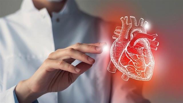 ΑΠΘ: Καινοτόμος έρευνα σε οργανοειδή για θεραπεία καρδιακών παθήσεων