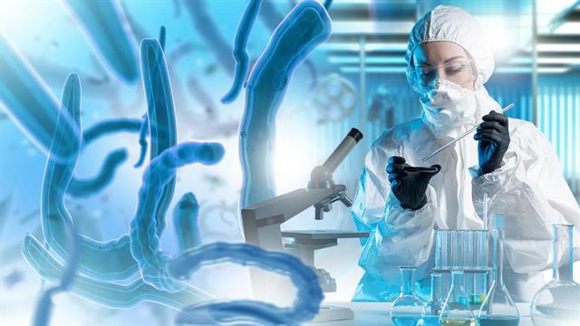 Ιός Marburg: Πώς σταμάτησε μια επιδημία σε μια πόλη με εκατομμύρια κατοίκους