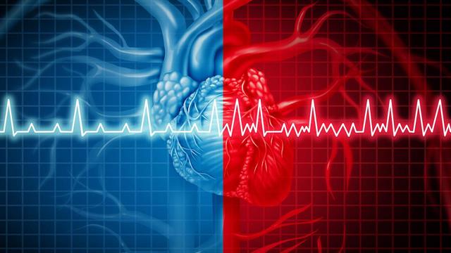 Πανελλήνιο Καρδιολογικό Συνέδριο ‘’Ημέρες Καρδιολογίας: Τελευταίες Εξελίξεις’’