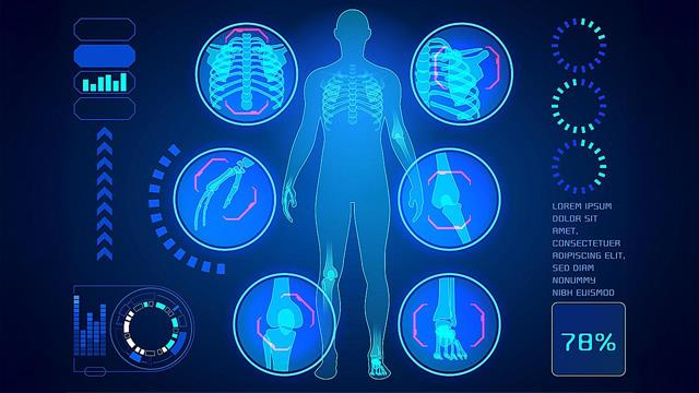 Τα ανθρώπινα όργανα δεν είναι αρσενικά ή θηλυκά
