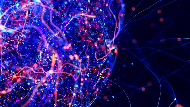 Προσανατολισμός: Πώς ο εγκέφαλος διαβάζει σωστά τον χάρτη