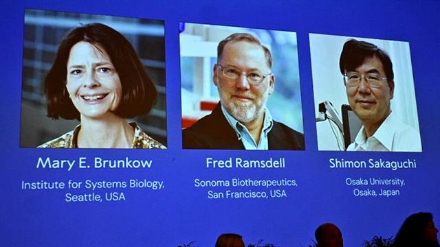Στους Mary Brunkow, Fred Ramsdell και Shimon Sakaguchi το Βραβείο Νόμπελ Ιατρικής 2025