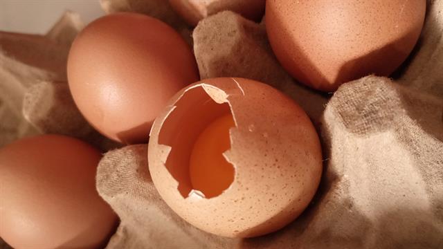 Επιστήμονες αναπτύσσουν εμβόλιο για την τροφική δηλητηρίαση από σαλμονέλα