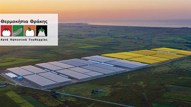 Στη φαρμακευτική κάνναβη μπαίνει η Θερμοκήπια Θράκης