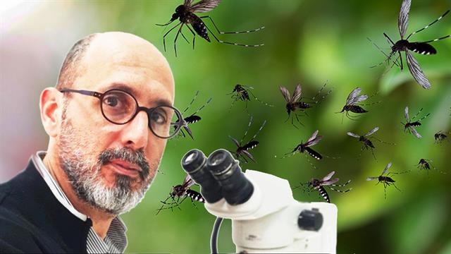 Χριστούγεννα με κουνούπια - Ο τίγρης που ήρθε για να μείνει και μία ακόμη απειλή