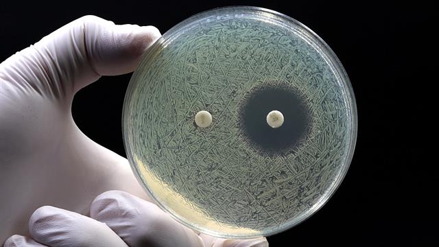 Νέο διαδικτυακό portal για την αντοχή στα αντιβιοτικά