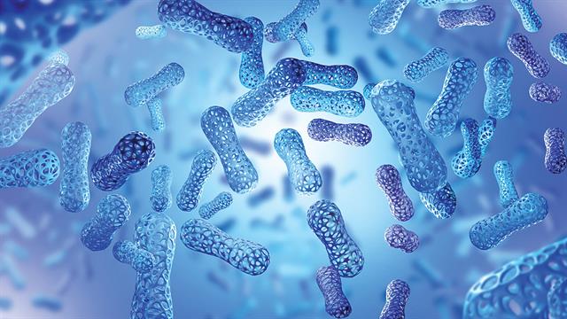 Προβιοτικά: Τι είναι και πώς βοηθούν