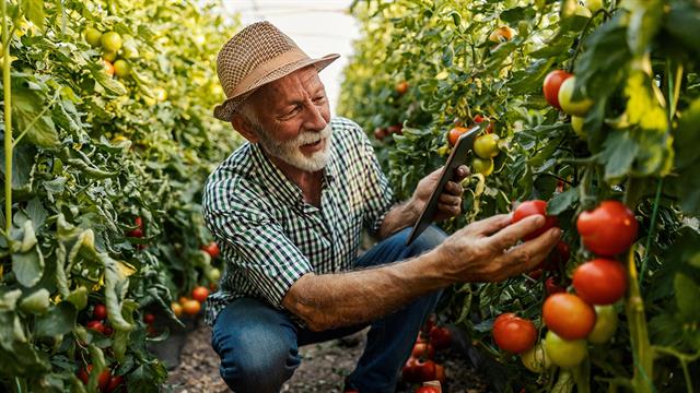 Ποια δραστηριότητα μειώνει τον κίνδυνο για πόνο στο γόνατο στους ηλικιωμένους