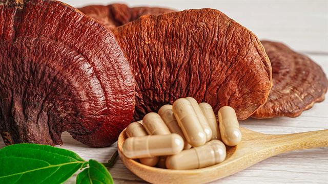 Τα φαρμακευτικά μανιτάρια και οι ευεργετικές επιδράσεις τους στο μυελοδυσπλαστικό σύνδρομο