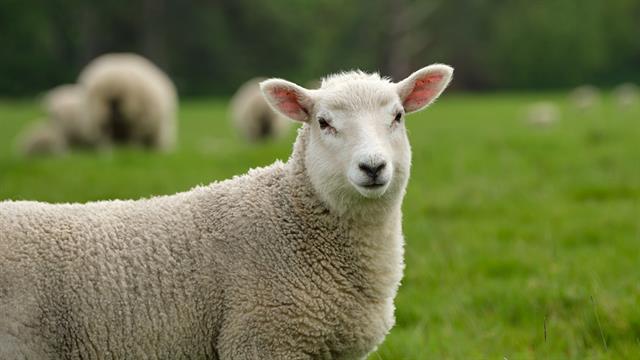 Σύσκεψη στο Μαξίμου για την ευλογιά - Δέκα ερωταπαντήσεις για τους εμβολιασμούς