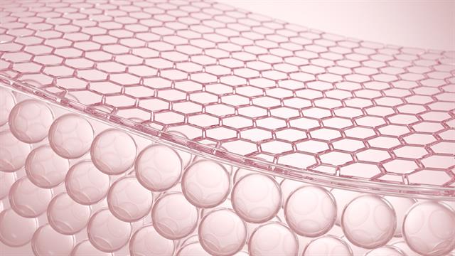 Kαινοτομία: Απεικόνιση δέρματος εντοπίζει πρώιμα σημάδια καρδιοπάθειας