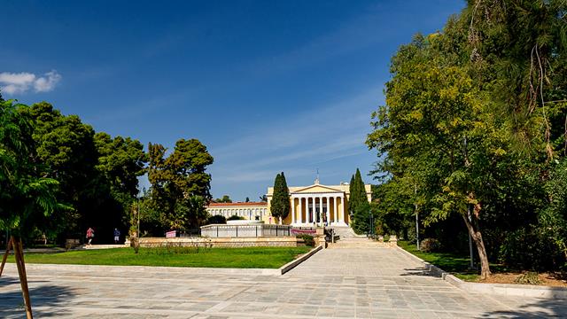 Τα δέντρα συνδέονται με χαμηλότερο κίνδυνο καρδιοπάθειας σε κατοίκους πόλεων [μελέτη]