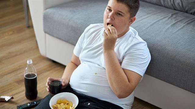 Διαστάσεις επιδημίας λαμβάνει η παιδική παχυσαρκία στην Αυστρία