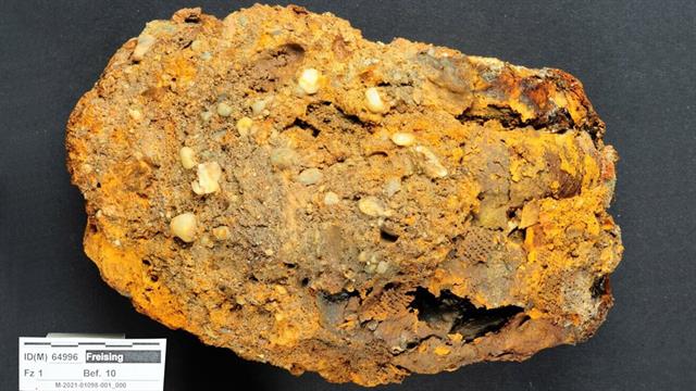 Σπάνια ασθένεια διαγνώστηκε μέσω DNA σε σκελετούς της Λίθινης Εποχής