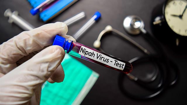 ECDC : Πολύ χαμηλός ο κίνδυνος από τον ιό Nipah για άτομα από την Ευρώπη που ταξιδεύουν ή διαμένουν στη δυτική Βεγγάλη