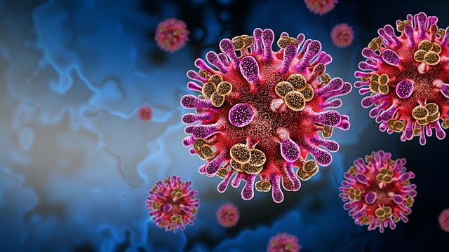 ECDC: Πόσο κινδυνεύουν οι Ευρωπαίοι από τον ιό Nipah - Οδηγίες σε ταξιδιώτες