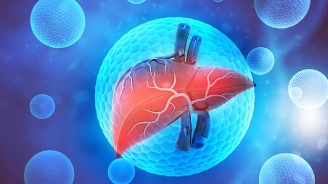 Ηπατοκυτταρικός καρκίνος: Η πρωτεΐνη που τον  πυροδοτεί, αλλά ανοίγει και τον δρόμο για ανοσοθεραπεία