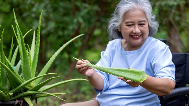 Σε ποιο φυτό επενδύουν οι ειδικοί για τη μάχη κατά της νόσου Alzheimer
