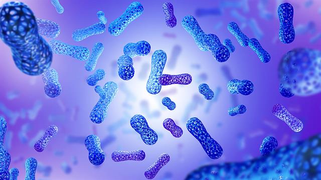 Εντερικό μικροβίωμα: Νέα ελπίδα για το Σύνδρομο Εύθραυστου Χ