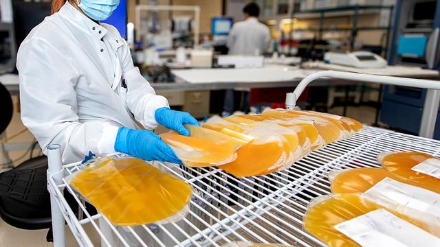 Η Παγκόσμια Ημέρα Σπανίων Παθήσεων αναδεικνύει τη ζωτική σημασία της δωρεάς πλάσματος