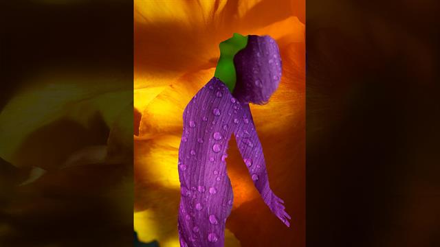 Ανθίζω, Καρπίζω, προχωρώ: Έκθεση φωτογραφίας της Ογκολόγου-Ακτινοθεραπεύτριας Δέσποινας Κατσώχη