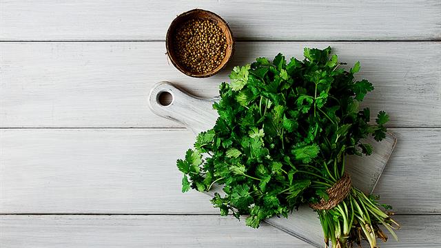 Κόλιανδρος: Ποια είναι τα οφέλη του