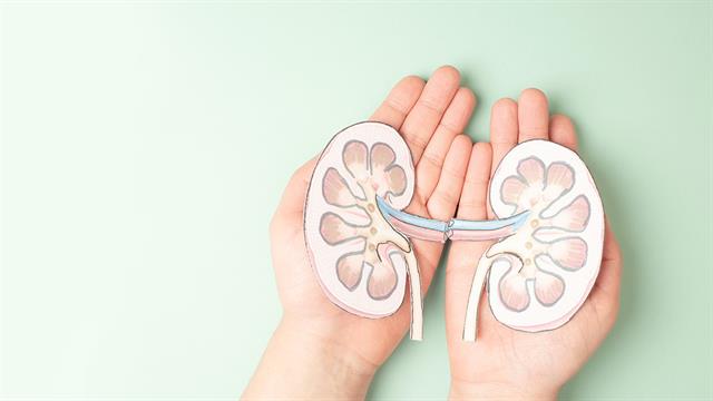 Παγκόσμια Ημέρα Νεφρού 2026: Υγεία για όλους – Φροντίδα για τον άνθρωπο, προστασία για τον πλανήτη