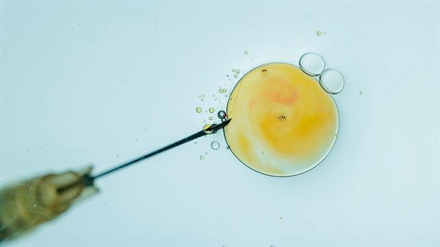 Οι θεραπείες υπογονιμότητας δεν συνδέονται με επιπλέον κίνδυνο για καρκίνο [μελέτη]